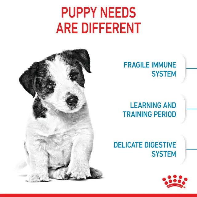 Royal Canin Puppy (Mini Breed) Dry Dog Food - Pet Supply